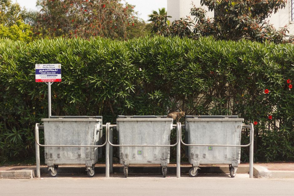 Three large, grey metal wheelie bins with closed lids are positioned side by side on a paved sidewalk, each equipped with handles and castor wheels for mobility. The bins show signs of weathering, with some dirt and residue visible on their surfaces. They are placed in front of a dense, well-maintained green hedge with small, elongated leaves, interspersed with a few red flowering plants. Behind the hedge, taller shrubs and trees with reddish-brown and dark green foliage are visible, suggesting a garden or landscaped area. A small, weathered sign with blue and red accents is mounted on a metal post to the left of the bins, indicating a designated waste collection point. The scene is lit by natural daylight, with soft shadows cast on the ground, creating a neutral and professional atmosphere typical of a private property or commercial waste collection site. This setup aligns with independent or private rubbish management services that handle waste outside of municipal collection systems, as evidenced by the presence of the bins and signage for waste disposal.